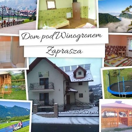 Apartamento Dom Pod Winogronem Szczawnica Exterior foto